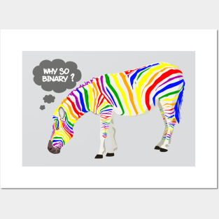 Rainbow Zebra Posters and Art